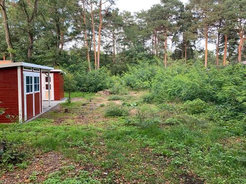 Foto - Grundst&uuml;ck zur Miete in Bestensee