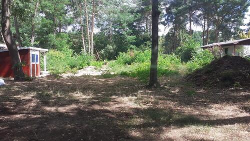 Foto - Grundst&uuml;ck in Bestensee zur Miete