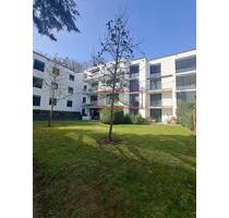 Moderne ruhige 2-ZW mit Balkon im 1. OG am Park - Bad Homburg vor der Höhe Gonzenheim