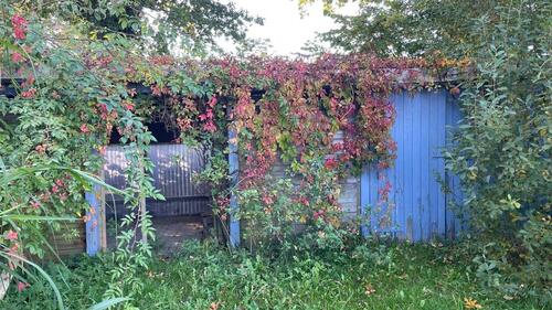 Foto - Einfamilienhaus in Bergenhusen
