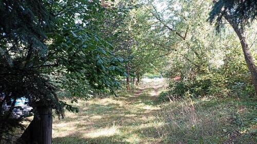 Foto - Grundst&uuml;ck in Wittenberge