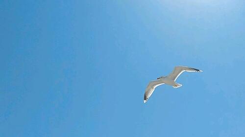 Foto - andere in Zingst zur Miete