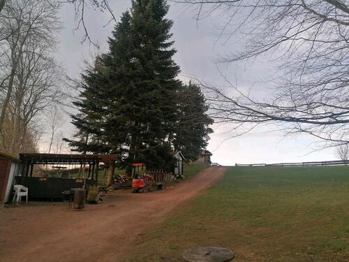 Foto - Biete schönes Haus mit großem Garten