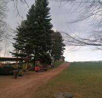 Biete schönes Haus mit großem Garten - Frauenstein