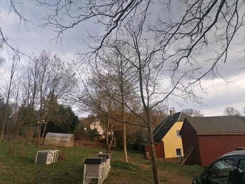 Foto - 4 Zimmer Einfamilienhaus zur Miete in Frauenstein