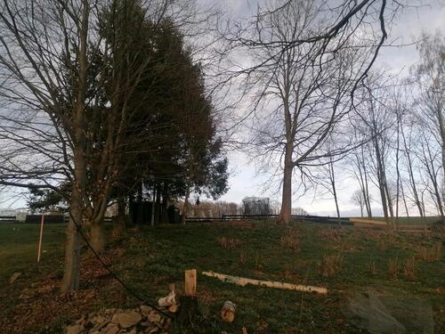 Foto - 4 Zimmer Einfamilienhaus in Frauenstein