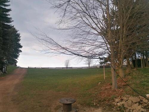 Foto - Einfamilienhaus in Frauenstein zur Miete