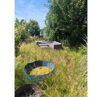 Kleingarten im Verein Landfrieden Essenrode - Wolfenbüttel Ahlum