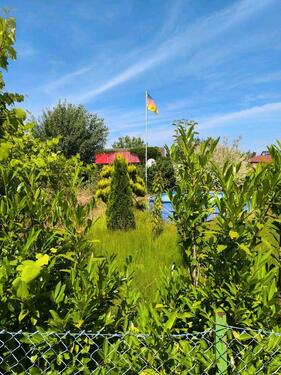 Foto - Grundst&uuml;ck zur Miete in Wolfenbüttel