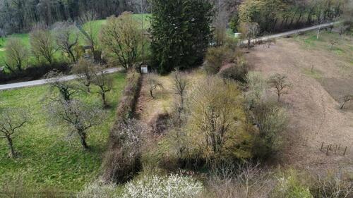 Foto - Hochstadt: Erholungsgrundstück zu verpachten