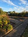 Foto - Kleingartenparzelle Schrebergarten