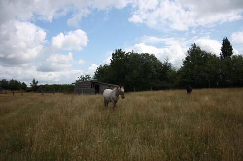 Foto - Grundst&uuml;ck zur Miete in Domsühl