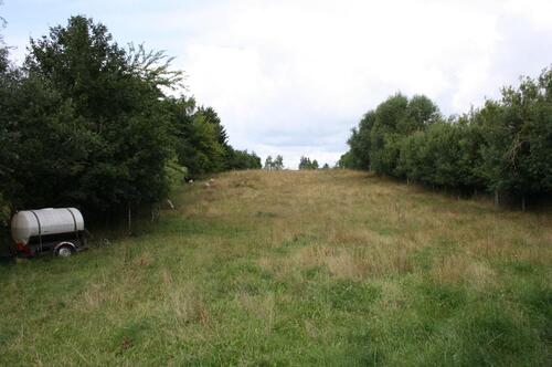 Foto - Grundst&uuml;ck in Domsühl zur Miete