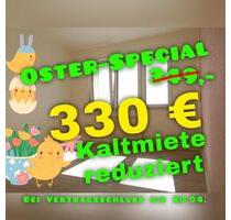 NEU sanierte 2-Raum Wohnung Narsdorf gemütlich und hell - Geithain