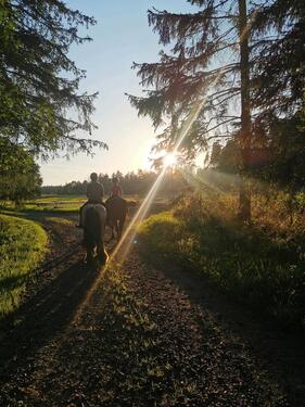 Foto - andere in Neustadt am Kulm zur Miete