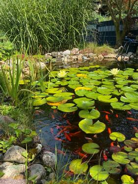 Foto - Gepflegtes Einfamilienhaus mit liebevoll angelegten Garten