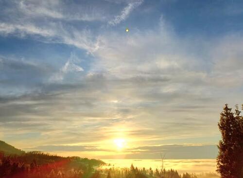 Foto - andere in Bühl zur Miete