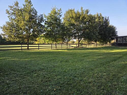 Foto - Hundeplatz zu verpachten – ideal für Hundeschule oder Verein