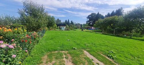 Foto - Grundst&uuml;ck zur Miete in Grabow