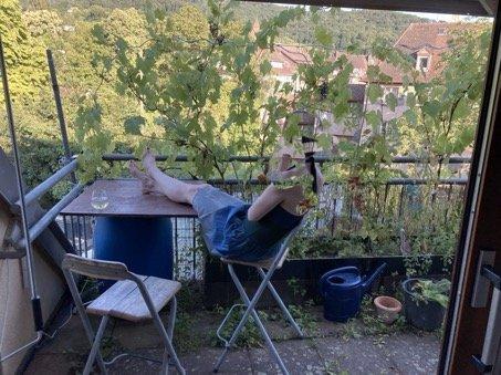 Foto - andere in Staufen im Breisgau