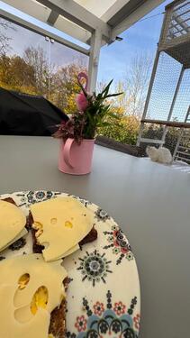 Foto - ❤️Doppelhaushälfte ❤️ - 719.000,00 EUR Kaufpreis,