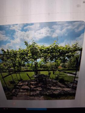 Foto - andere in Nürtingen