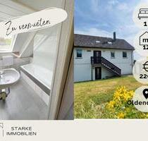 **Gemütliche 1Zi-Whg modern renoviert in Oldendorf zu vermieten** - Salzhemmendorf
