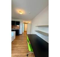 Modernes möbliertes 1-Zimmer-Apartment auf der ERBA-Insel ab Jan - Bamberg Gärtnerstadt