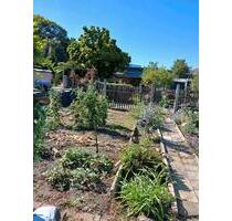 Garten abzugeben - 800,00&nbsp;EUR Kaltmiete, ca.&nbsp; 0,00&nbsp;m&sup2; in Borsdorf (PLZ: 04451)