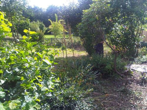 Foto - Grundstück in Leipzig