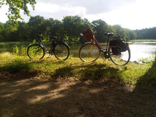 Foto - Grundstück in Leipzig zur Miete