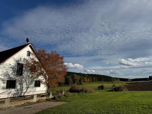 Foto - 5 Zimmer Etagenwohnung zur Miete in Hohentengen