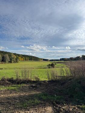 Foto - 5 Zimmer Etagenwohnung in Hohentengen