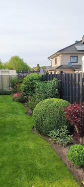 Foto - Mehrfamilienhaus, Wohnhaus in Rötgesbüttel zum Kaufen