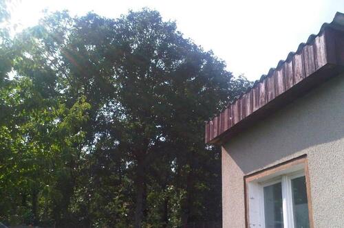 Foto - Grundstück in Leipzig