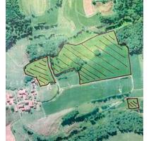 Landwirtschaftliche Flächen - 10,00 EUR Kaltmiete, ca.  0,00 m² in Bernhardswald (PLZ: 93170)