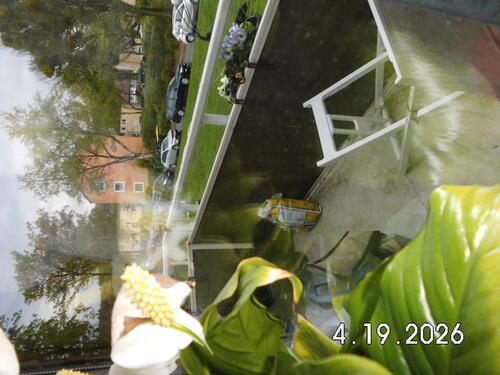 Foto - 2 Zimmer Etagenwohnung zur Miete in Salzgitter