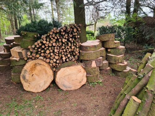 Foto - Einfamilienhaus in Handewitt