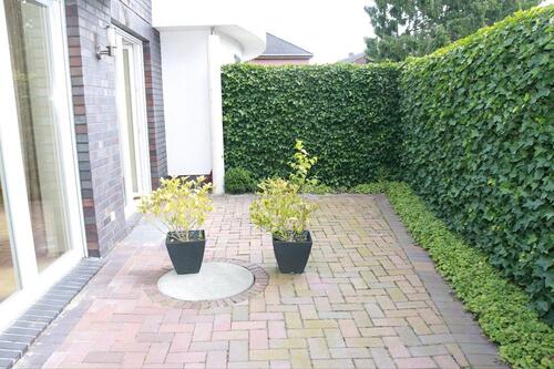 Foto - Zentral gelegene 2 ZKB Wohnung in Friesoythe