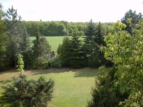 Foto - Souterrainwohnung - 500,00&nbsp;EUR Kaltmiete, ca.&nbsp; 110,00&nbsp;m&sup2;