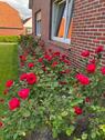 Foto - Einfamilienhaus zu vermieten - 1.500,00&nbsp;EUR Kaltmiete, ca.&nbsp; 155,00&nbsp;m&sup2;