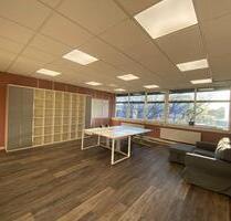 Helles Freiberufler Büro neben Kanzlei 35m2 teilmöbliert - Hamburg Rothenburgsort