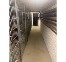 Kellerraum Lager zu vermieten P-Berg trocken, beheizt mit Strom - Berlin Pankow