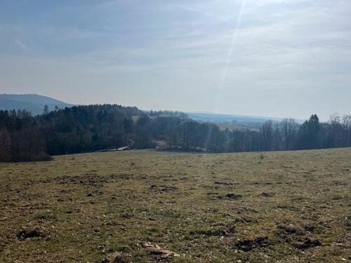 Foto - 
