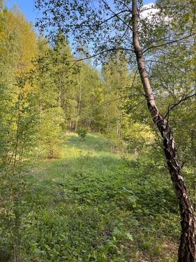 Foto - Grundst&uuml;ck in Bad Salzungen