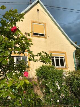Foto - Haus mit großem Grundstück im Elsass zu kaufen