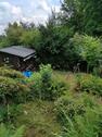 Foto - Gartengrundstück Freizeitgrundstück Gemüsegarten (Schrebergarten)
