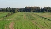 Foto - Weidefläche, ca. 1,2 ha, in Ortsrandlage Ostgroßefehn zu Wiesmoor