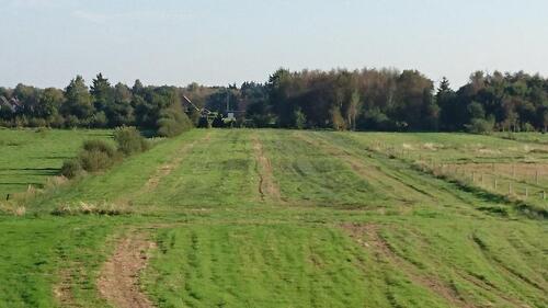 Foto - Weidefläche, ca. 1,2 ha, in Ortsrandlage Ostgroßefehn zu Wiesmoor