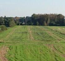 Weidefläche, ca. 1,2 ha, in Ortsrandlage Ostgroßefehn zu Wiesmoor